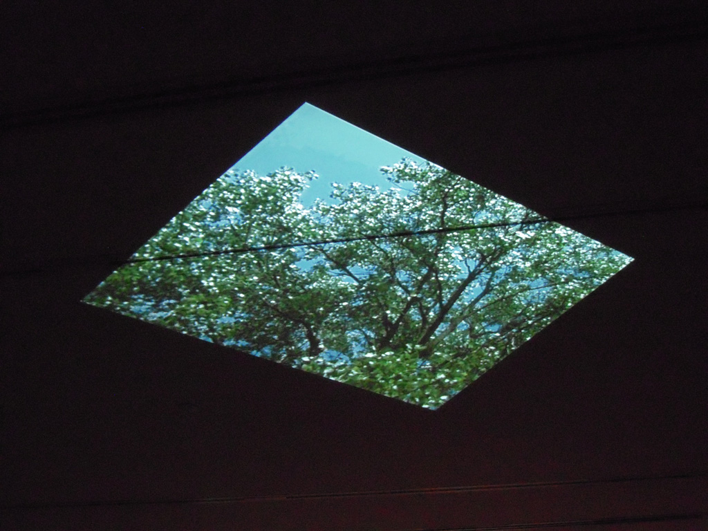 Site A ceiling